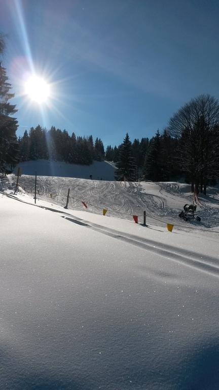 Pensjonat Alpenappartements Schwalbennestl 2*