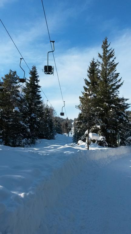 Alpenappartements Schwalbennestl Pensjonat 2*